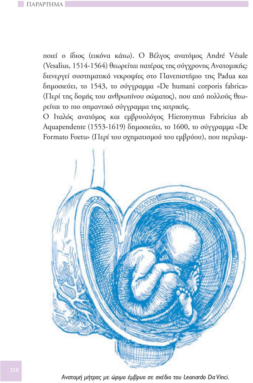 Padua και δημοσιεύει, το 1543, το σύγγραμμα «De humani corporis fabrica» (Περί της δομής του ανθρωπίνου σώματος), που από πολλούς θεωρείται το πιο