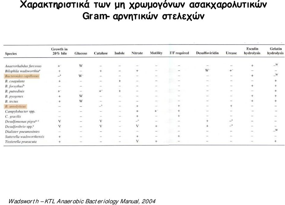 Gram-αρνητικών στελεχών