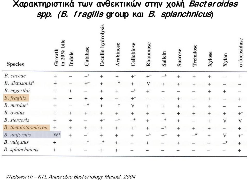 fragilis group και B.