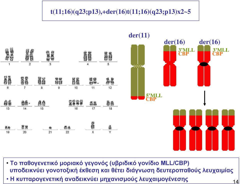 γονίδιο MLL/CBP) υποδεικνύει γονοτοξική έκθεση και θέτει διάγνωση
