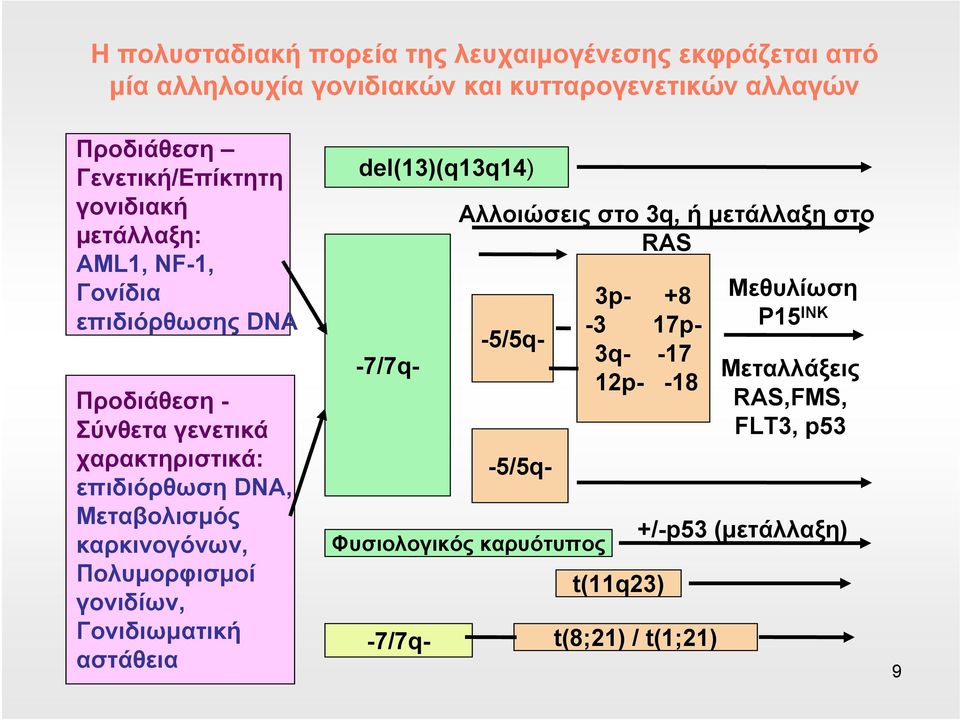 καρκινογόνων, Πολυμορφισμοί γονιδίων, Γονιδιωματική αστάθεια del(13)(q13q14) Φυσιολογικός καρυότυπος Αλλοιώσεις στο 3q, ήμετάλλαξηστο RAS