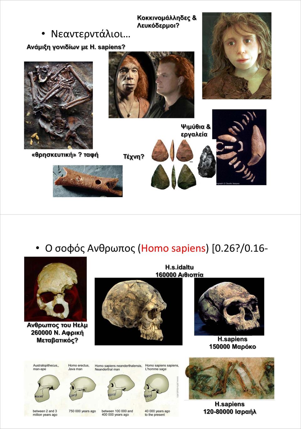 Ο σοφός Ανθρωπος (Homo sapiens) [0.26?/0.16- ] H.s.idaltu 160000 Αιθιοπία Ανθρωπος του Ηελμ 260000 Ν.