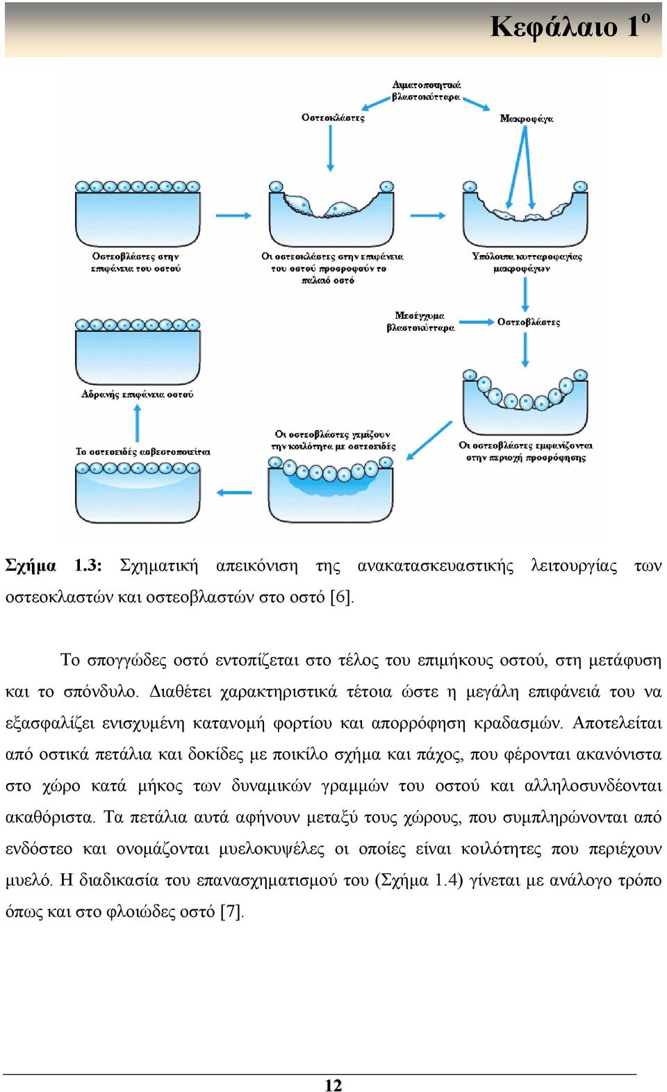 Διαθέτει χαρακτηριστικά τέτοια ώστε η μεγάλη επιφάνειά του να εξασφαλίζει ενισχυμένη κατανομή φορτίου και απορρόφηση κραδασμών.