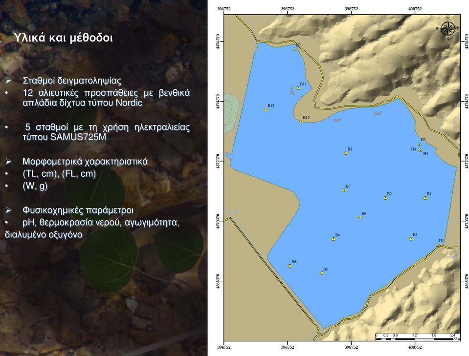 τύπου SAMUS725M Μορφομετρικά χαρακτηριστικά (TL, cm), (FL, cm) (W, g)