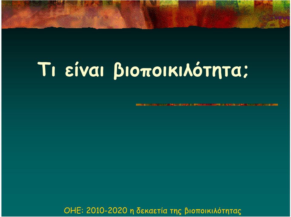 ΟΗΕ: 2010-2020 η