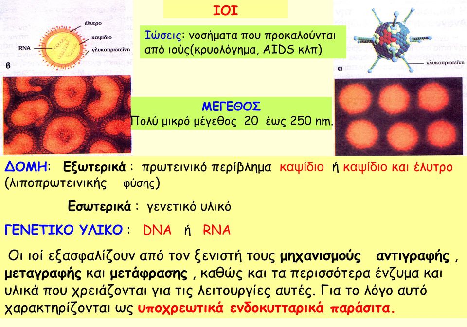 ΓΕΝΕΤΙΚΟ ΥΛΙΚΟ : DNA ή RNA Οι ιοί εξασφαλίζουν από τον ξενιστή τους μηχανισμούς αντιγραφής, μεταγραφής και μετάφρασης, καθώς