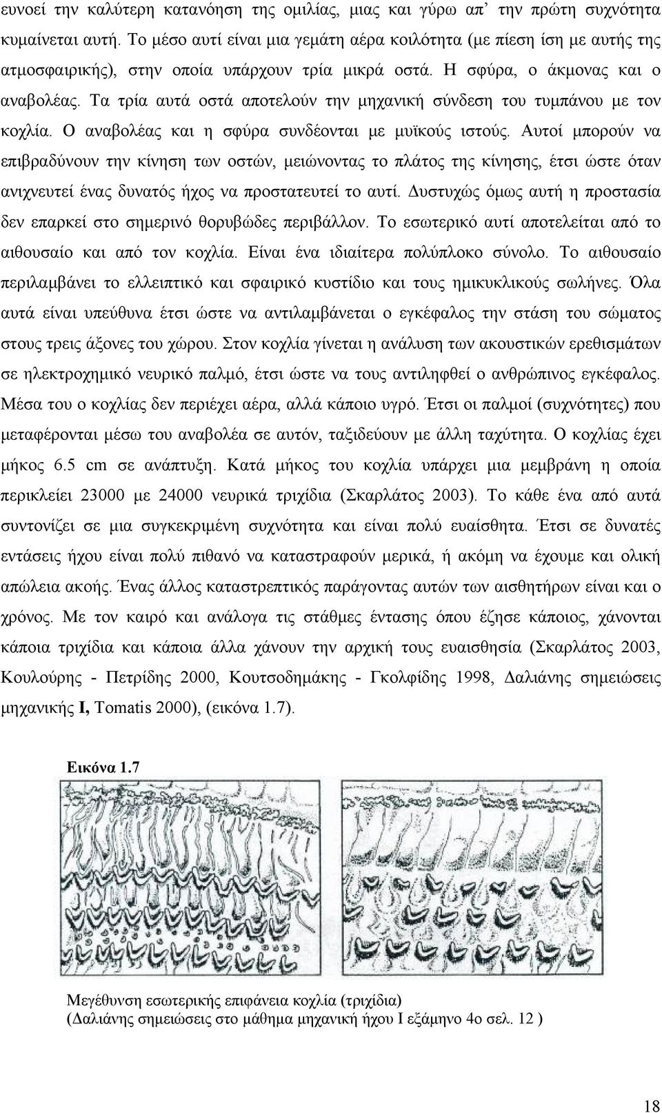 Τα τρία αυτά οστά αποτελούν την μηχανική σύνδεση του τυμπάνου με τον κοχλία. Ο αναβολέας και η σφύρα συνδέονται με μυϊκούς ιστούς.