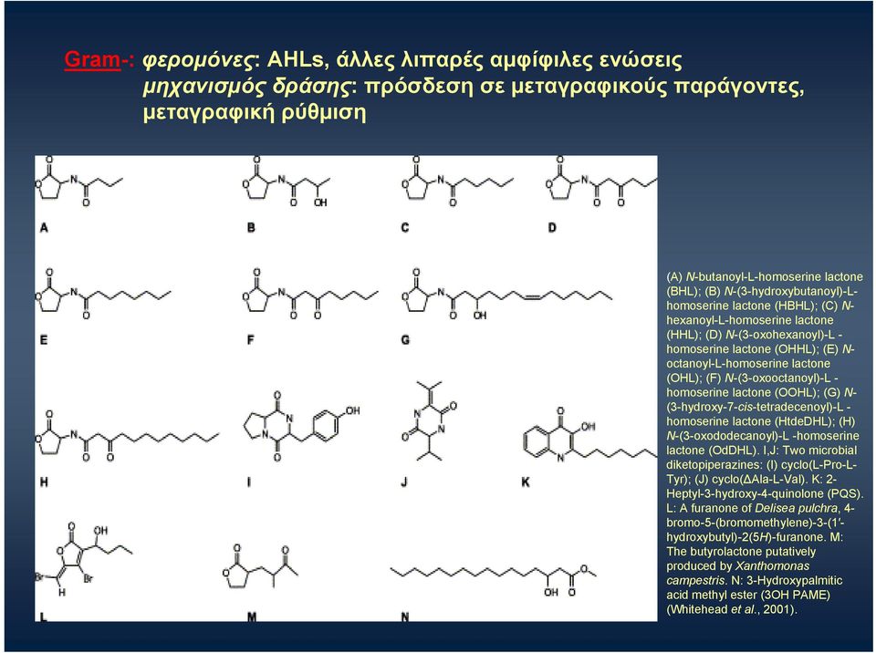 N-(3-oxooctanoyl)-L - homoserine lactone (OOHL); (G) N- (3-hydroxy-7-cis-tetradecenoyl)-L - homoserine lactone (HtdeDHL); (H) N-(3-oxododecanoyl)-L -homoserine lactone (OdDHL).