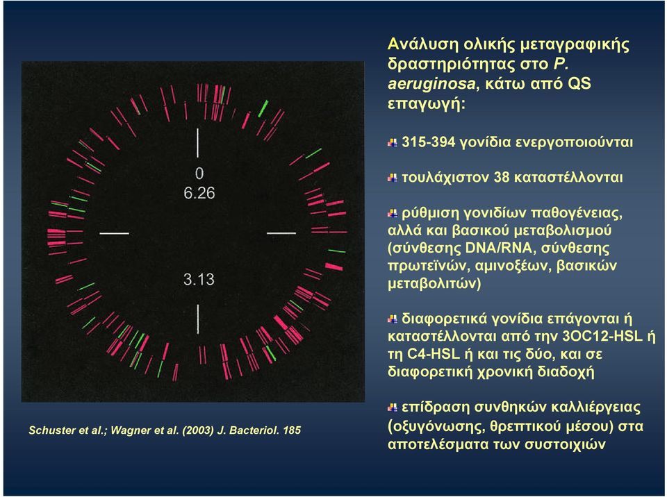 βασικού μεταβολισμού (σύνθεσης DNA/RNA, σύνθεσης πρωτεϊνών, αμινοξέων, βασικών μεταβολιτών) διαφορετικά γονίδια επάγονται ή