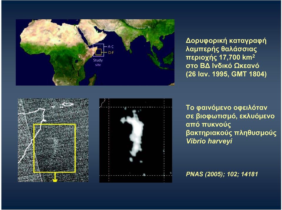 1995, GMT 1804) Το φαινόμενο οφειλόταν σε βιοφωτισμó,