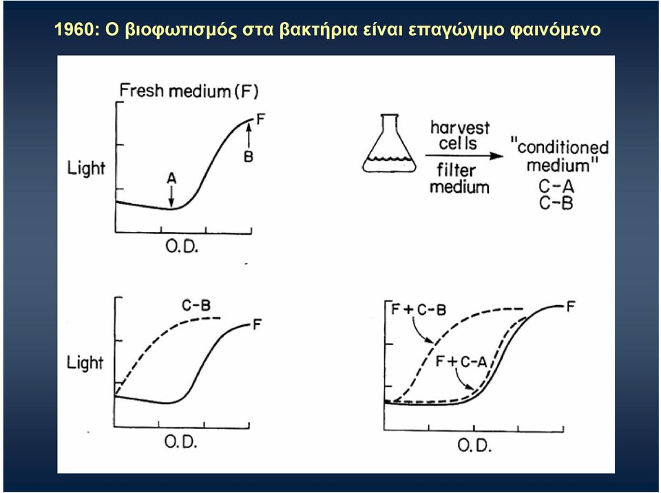 στα βακτήρια