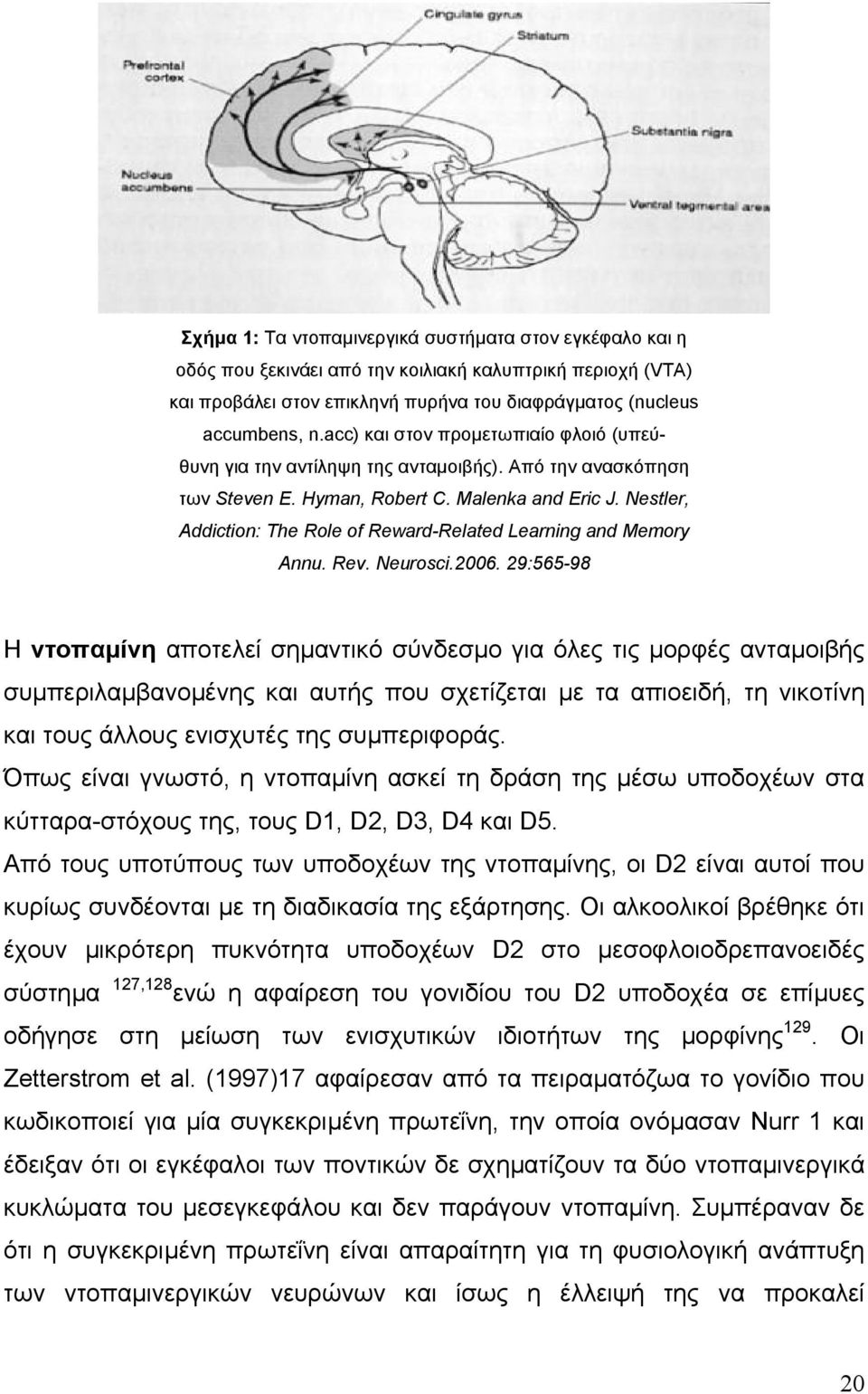 Nestler, Addiction: The Role of Reward-Related Learning and Memory Annu. Rev. Neurosci.2006.