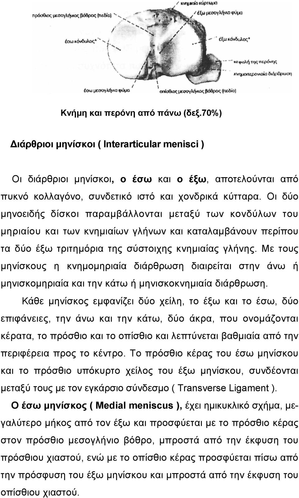 Με τους µηνίσκους η κνηµοµηριαία διάρθρωση διαιρείται στην άνω ή µηνισκοµηριαία και την κάτω ή µηνισκοκνηµιαία διάρθρωση.