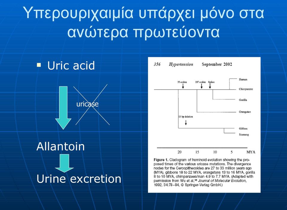 πρωτεύοντα Uric acid