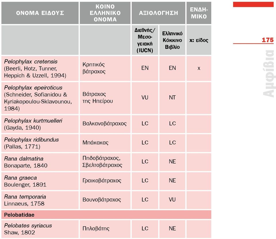 Αμφίβια Pelophylax kurtmuelleri (Gayda, 1940) Pelophylax ridibundus (Pallas, 1771) Βαλκανοβάτραχος LC LC Μπάκακας LC LC Rana dalmatina Bonaparte, 1840 Πηδοβάτραχος,