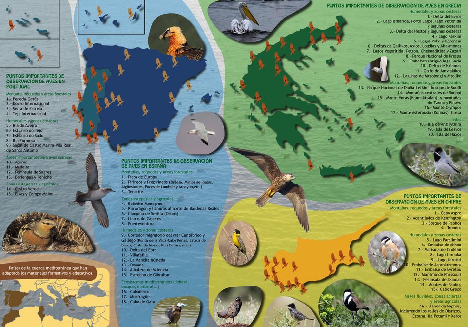 - Sapal de Castro Marim Vila Real de Santo António 0 0 PUNTOS IMPORTANTES DE OBSERVACIÓN DE AVES EN GRECIA Humedales y zonas costeras.- Delta del Evros.