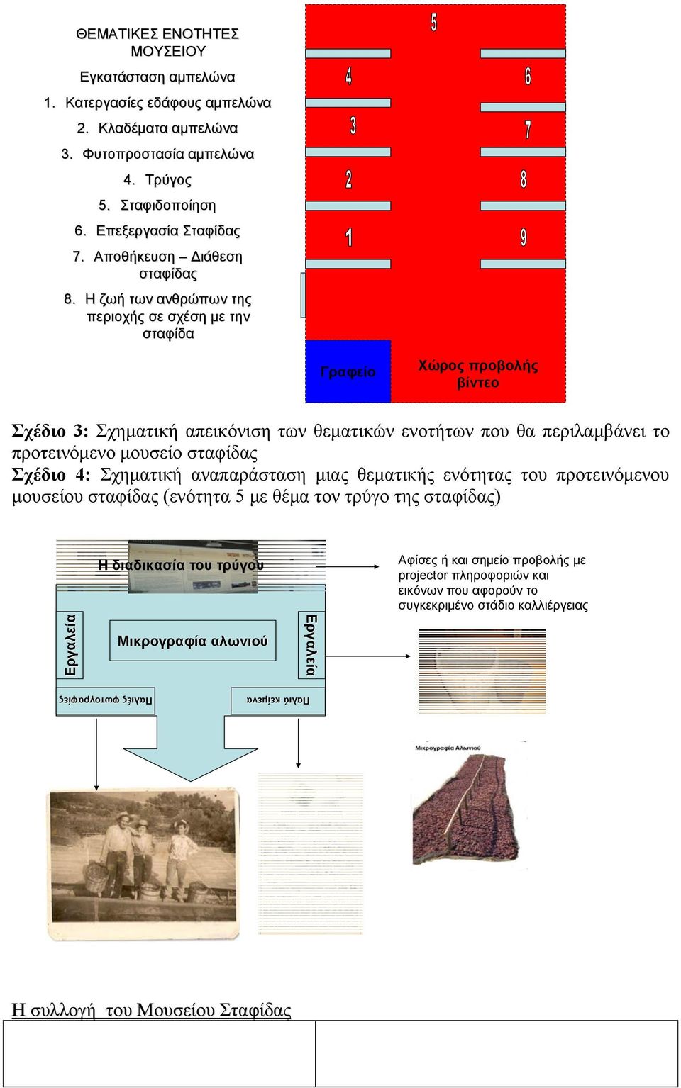 Η ζωή των ανθρώπων της περιοχής σε σχέση με την σταφίδα Γραφείο Χώρος προβολής βίντεο Σχέδιο 3: Σχηματική απεικόνιση των θεματικών ενοτήτων που θα περιλαμβάνει το προτεινόμενο μουσείο σταφίδας