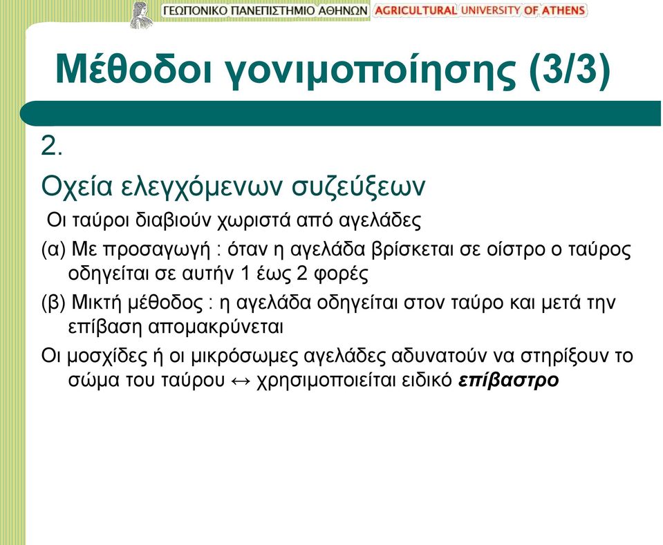 αγελάδα βρίσκεται σε οίστρο ο ταύρος οδηγείται σε αυτήν 1 έως 2 φορές (β) Μικτή μέθοδος : η