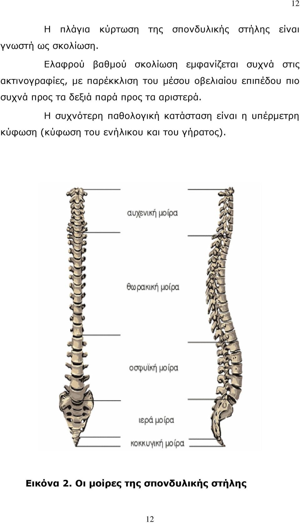 οβελιαίου επιπέδου πιο συχνά προς τα δεξιά παρά προς τα αριστερά.