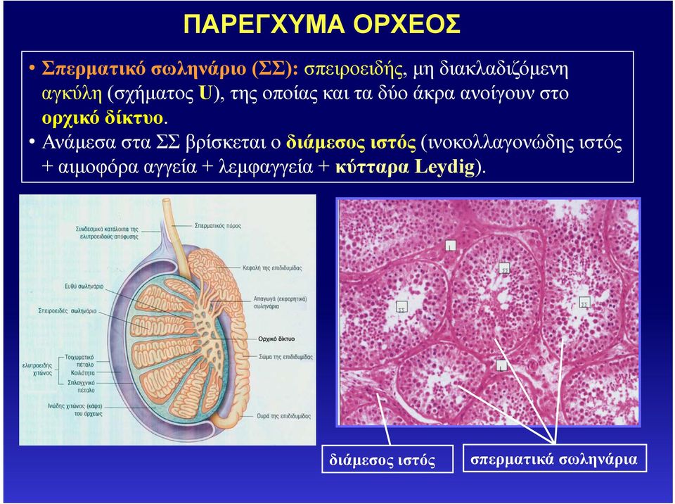 δίκτυο.