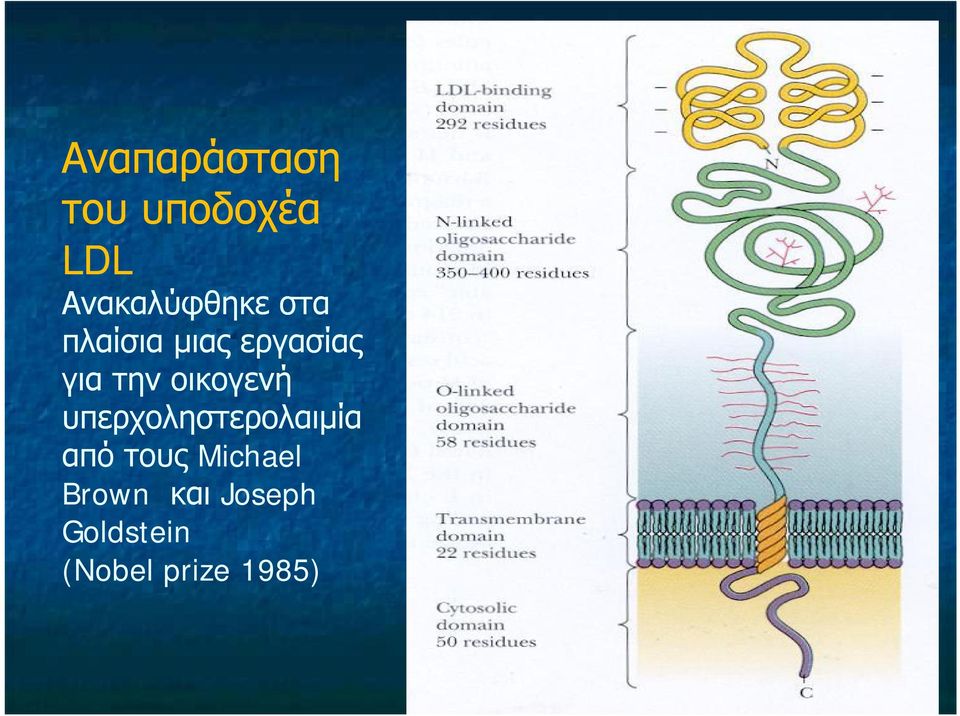 για την οικογενή υπερχοληστερολαιμία από