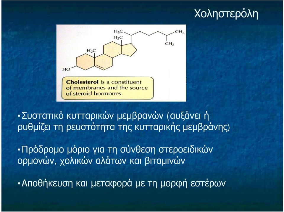 Πρόδρομο μόριο για τη σύνθεση στεροειδικών ορμονών,