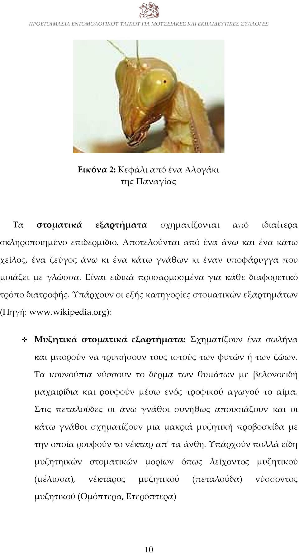 Υπάρχουν οι εξής κατηγορίες στοματικών εξαρτημάτων (Πηγή: www.wikipedia.org): Μυζητικά στοματικά εξαρτήματα: Σχηματίζουν ένα σωλήνα και μπορούν να τρυπήσουν τους ιστούς των φυτών ή των ζώων.