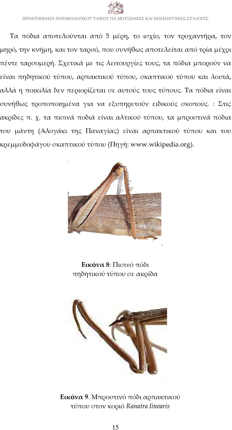 Τα πόδια είναι συνήθως τροποποιημένα για να εξυπηρετούν ειδικούς σκοπούς. : Στις ακρίδες π. χ.