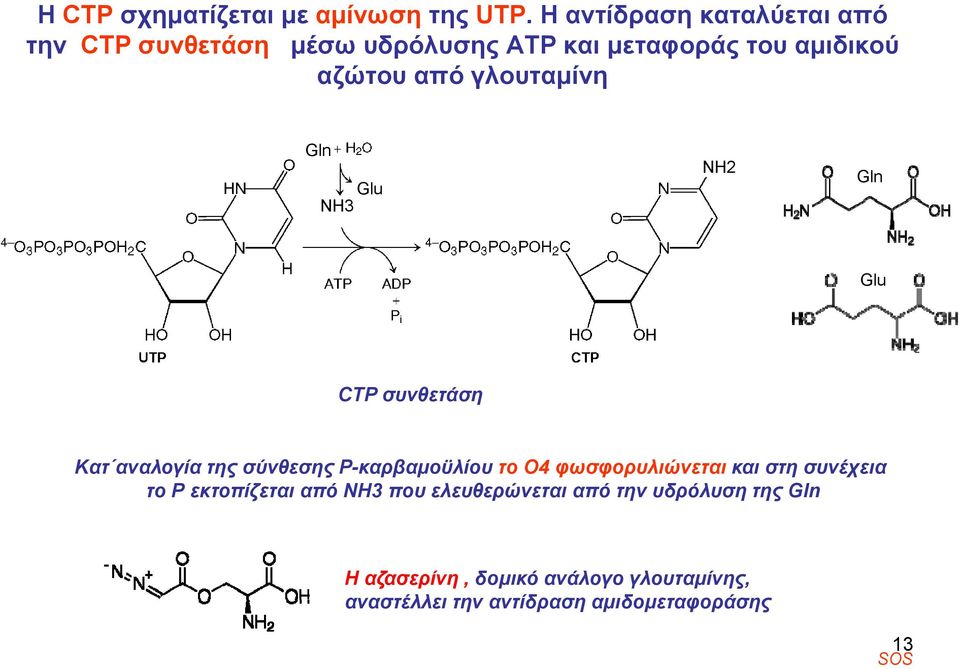 γλουταμίνη Gln Glu H3 H2 Gln Glu CTP συνθετάση Kατ αναλογία της σύνθεσης Ρ-καρβαμοϋλίου το Ο4