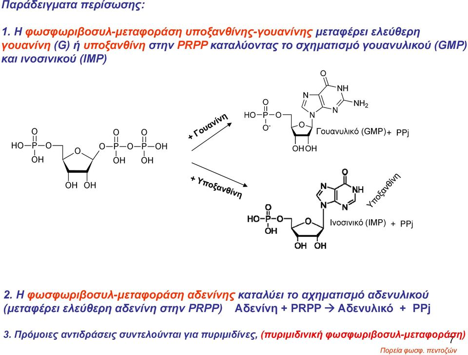 γουανυλικού (GMP) και ινοσινικού (IMP) H P H P H P H H Γουανυλικό (GMP) + PPj H H Ινοσινικό (IMP) + PPj 2.