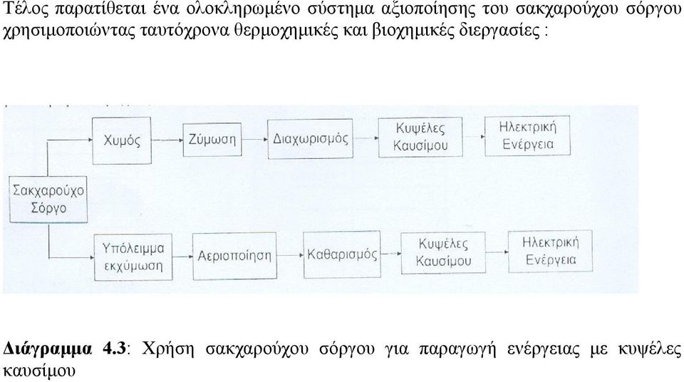 θερμοχημικές και βιοχημικές διεργασίες : Διάγραμμα 4.