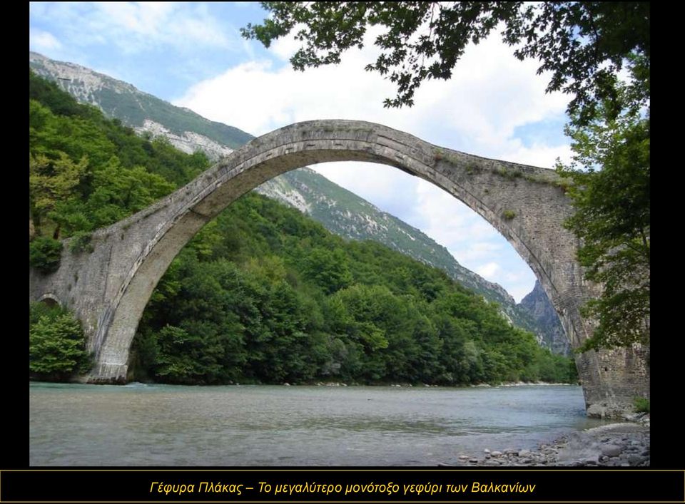 μονότοξο