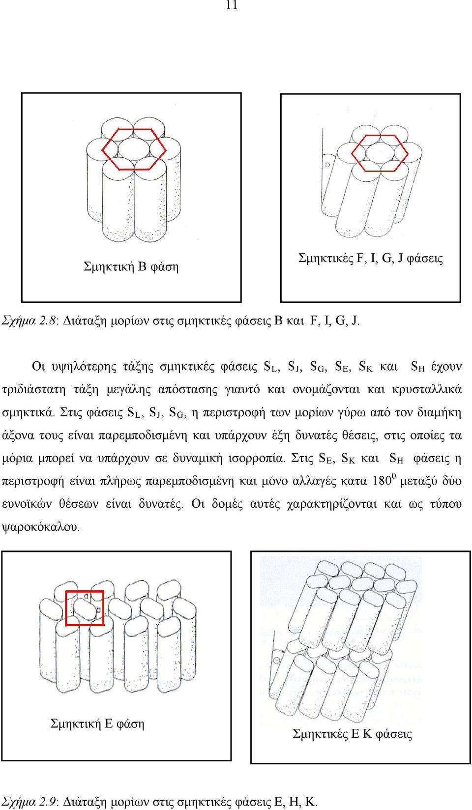 Στις φάσεις S L, S J, S G, η περιστροφή των μορίων γύρω από τον διαμήκη άξονα τους είναι παρεμποδισμένη και υπάρχουν έξη δυνατές θέσεις, στις οπoίες τα μόρια μπορεί να υπάρχουν σε δυναμική