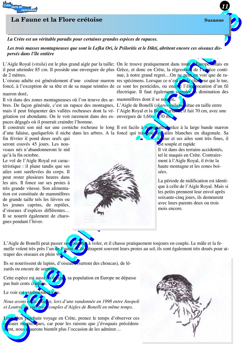 il peut atteindre 85 cm. Il possède une envergure de plus de 2 mètres. L oiseau adulte est généralement d une couleur marron foncé, à l exception de sa tête et de sa nuque teintées de marron doré.