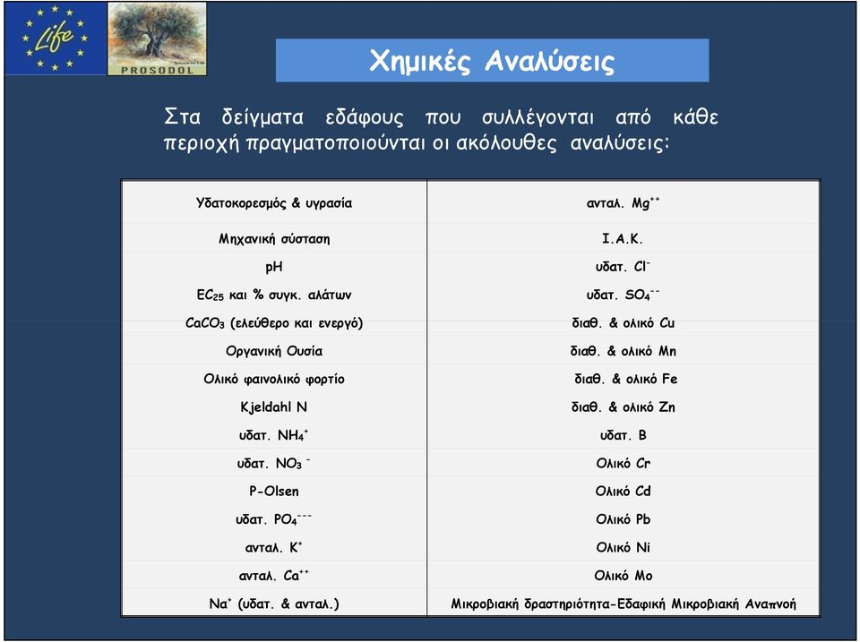 SO 4 -- CaCO 3 (ελεύθερο και ενεργό) Οργανική Ουσία Ολικό φαινολικό φορτίο Kjeldahl Ν + υδατ. NH 4 - υδατ. NO 3 P-Olsen --- υδατ. PO 4 ανταλ.