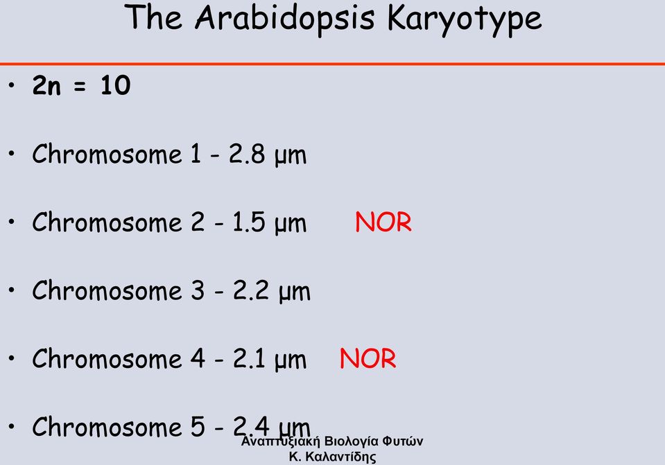 5 μm NOR Chromosome 3-2.