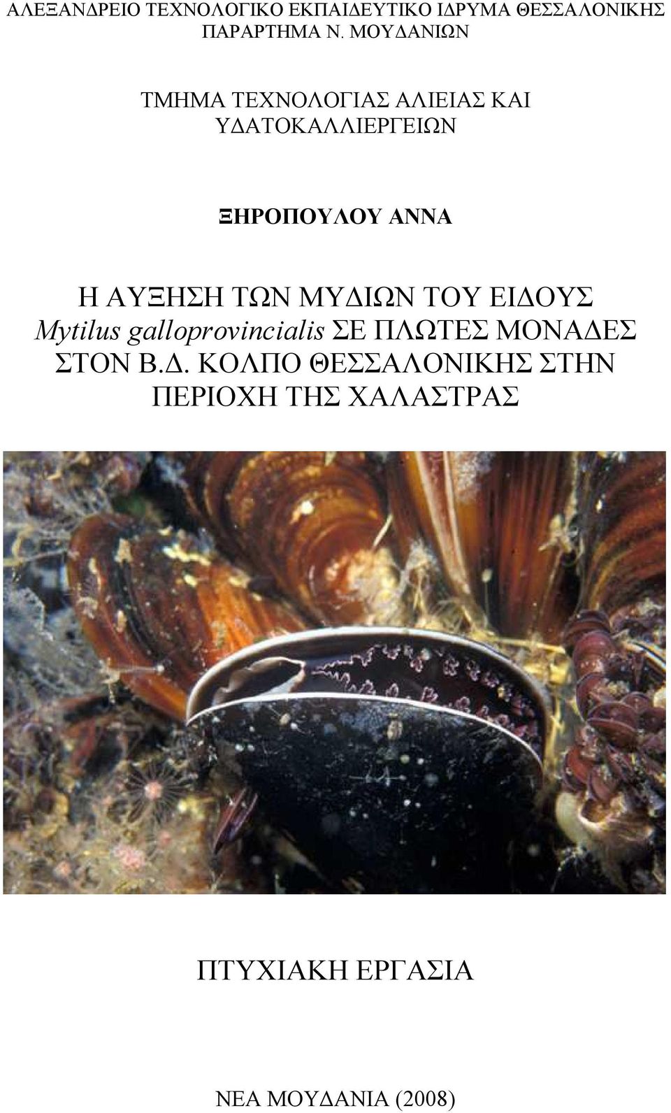 ΑΥΞΗΣΗ ΤΩΝ ΜΥ ΙΩΝ ΤΟΥ ΕΙ ΟΥΣ Mytilus galloprovincialis ΣΕ ΠΛΩΤΕΣ ΜΟΝΑ ΕΣ ΣΤΟΝ