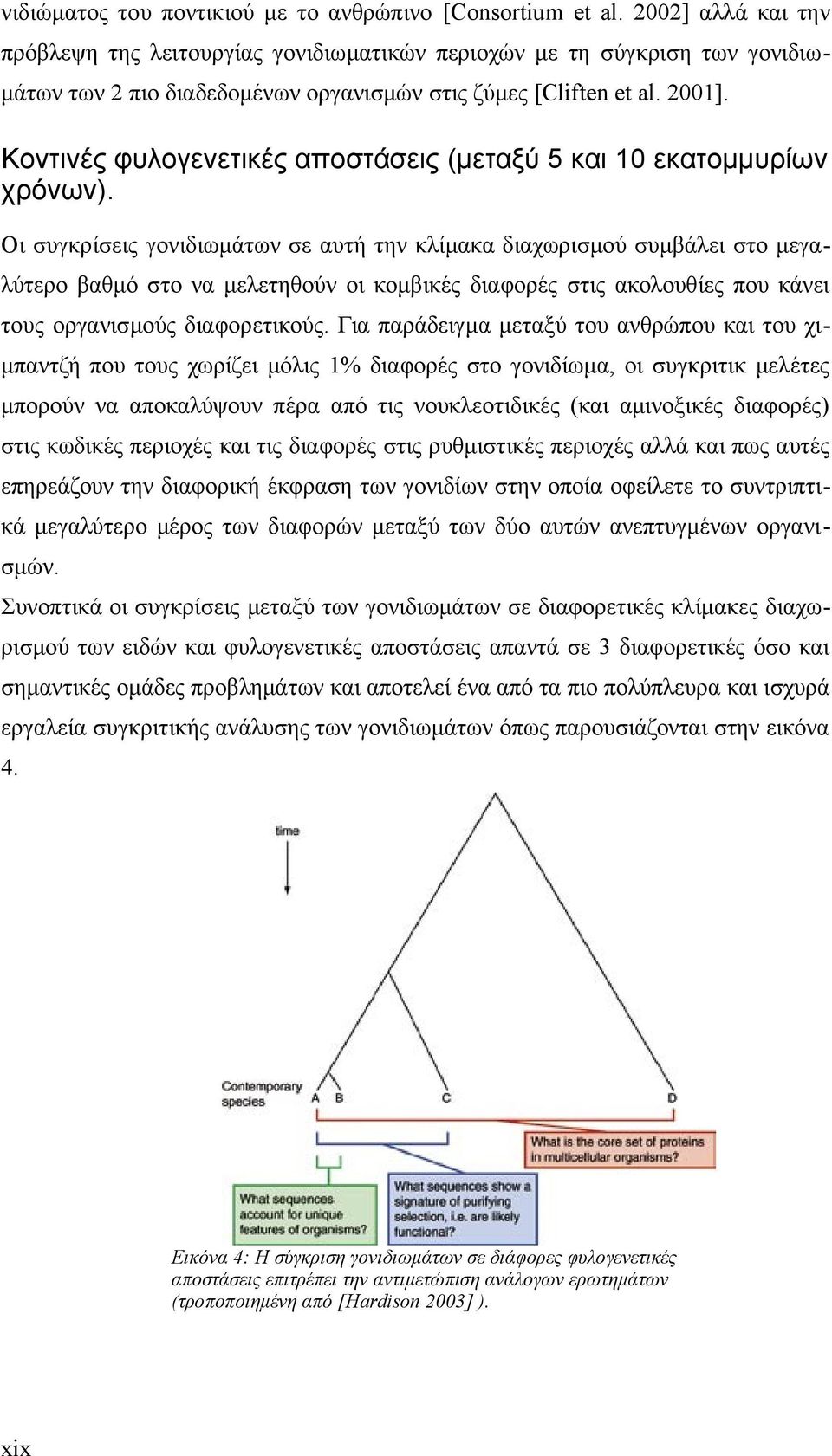 Κοντινές φυλογενετικές αποστάσεις (μεταξύ 5 και 10 εκατομμυρίων χρόνων).