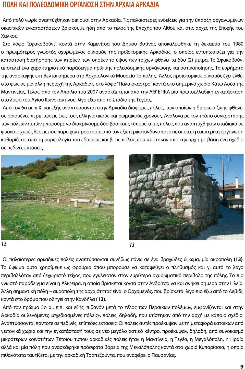 Στο λόφο Σφακοβούνι, κοντά στην Καμενίτσα του Δήμου Βυτίνας αποκαλύφθηκε τη δεκαετία του 1980 ο πρωιμότερος γνωστός οχυρωμένος οικισμός της προϊστορικής Αρκαδίας, ο οποίος εντυπωσιάζει για την