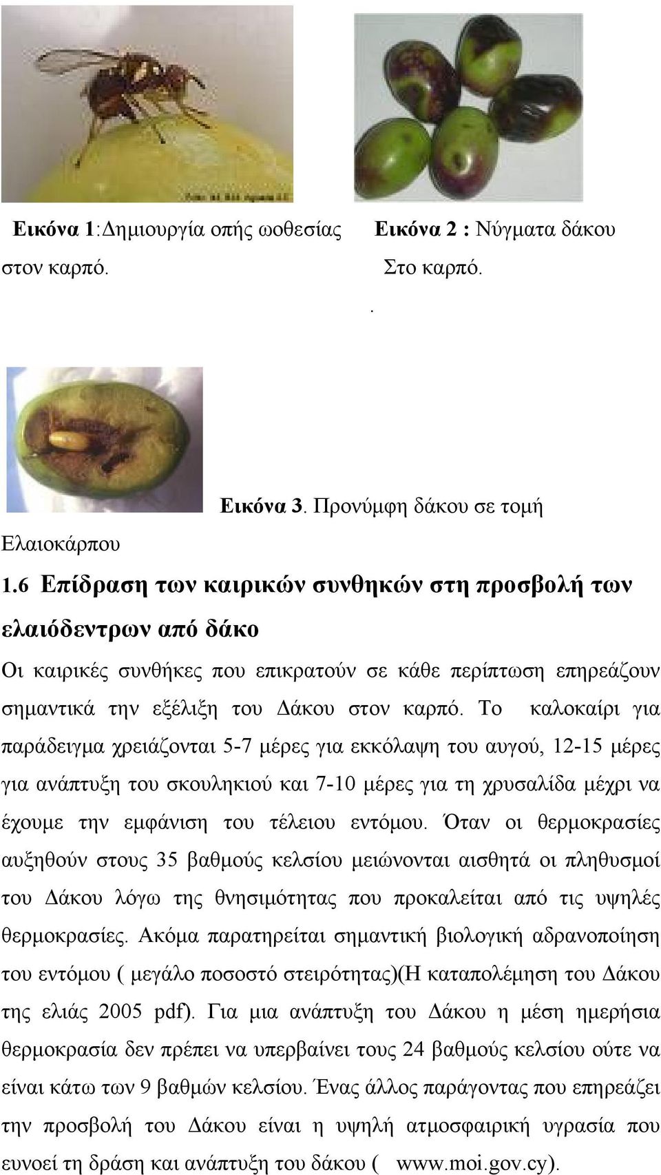 Το καλοκαίρι για παράδειγμα χρειάζονται 5-7 μέρες για εκκόλαψη του αυγού, 12-15 μέρες για ανάπτυξη του σκουληκιού και 7-10 μέρες για τη χρυσαλίδα μέχρι να έχουμε την εμφάνιση του τέλειου εντόμου.