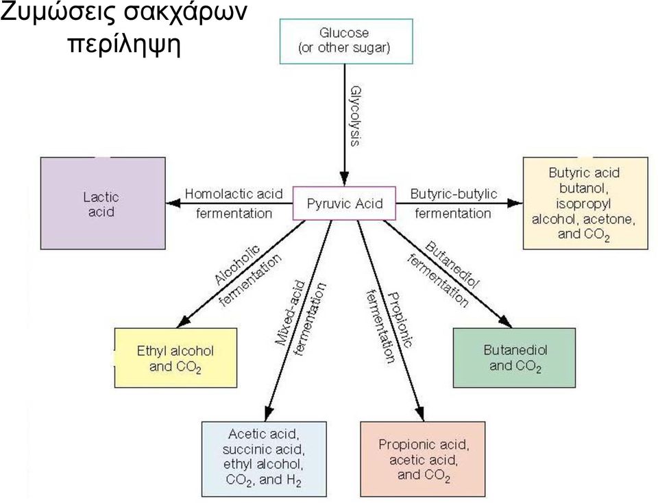περίληψη