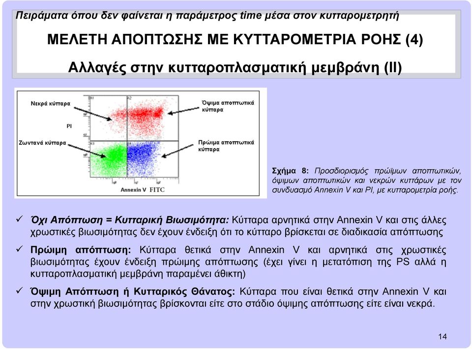 Όχι Απόπτωση = Κυτταρική Βιωσιμότητα: Κύτταρα αρνητικά στην Annexin V και στις άλλες χρωστικές βιωσιμότητας δεν έχουν ένδειξη ότι το κύτταρο βρίσκεται σε διαδικασία απόπτωσης Πρώιμη απόπτωση: