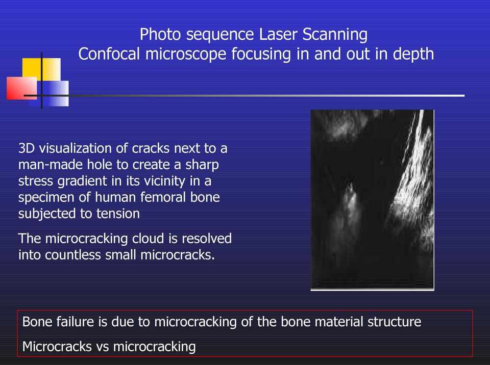 human femoral bone subjected to tension The microcracking cloud is resolved into countless small