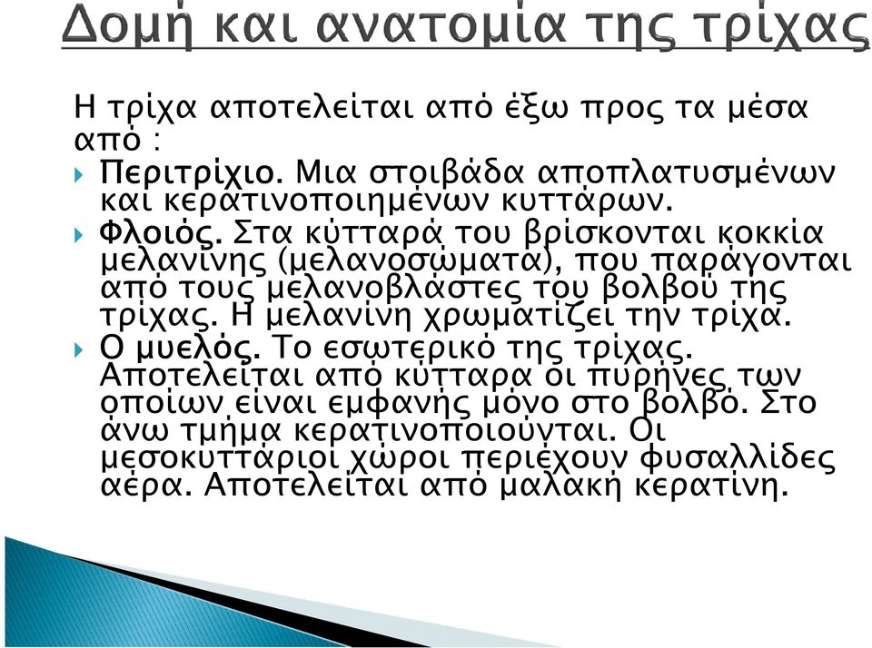 Η µελανίνη χρωµατίζει την τρίχα. Ο µυελό. Το εσωτερικό τη τρίχα.