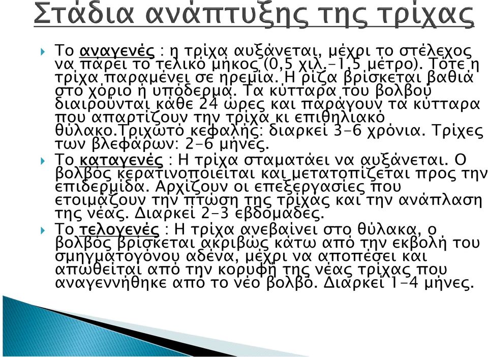 Το καταγενέ : Η τρίχα σταµατάει να αυξάνεται. Ο βολβό κερατινοποιείται και µετατοπίζεται προ την επιδερµίδα. Αρχίζουν οι επεξεργασίε που ετοιµάζουν την πτώση τη τρίχα και την ανάπλαση τη νέα.