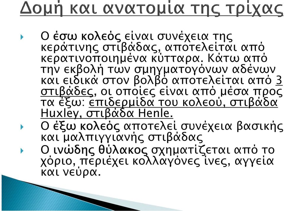 είναι από µέσα προ τα έξω: επιδερµίδα του κολεού, στιβάδα Huxley, στιβάδα Henle.