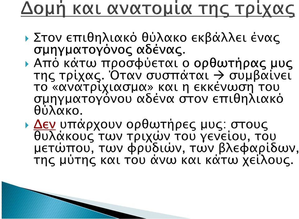 Όταν συσπάται συµβαίνει το «ανατρίχιασµα» και η εκκένωση του σµηγµατογόνου αδένα στον