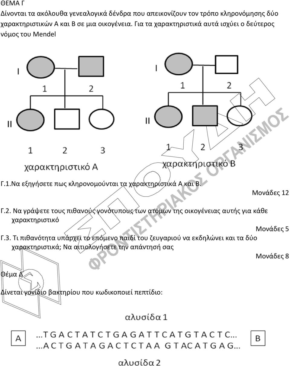 Γ.2. Να γράψετε τους πιθανούς γονότυπους των ατόμων της οικογένειας αυτής για κάθε χαρακτηριστικό Γ.3.