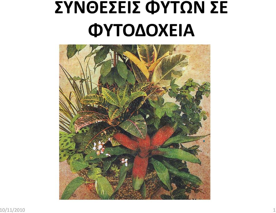 ΦΥΤΟΔΟΧΕΙΑ