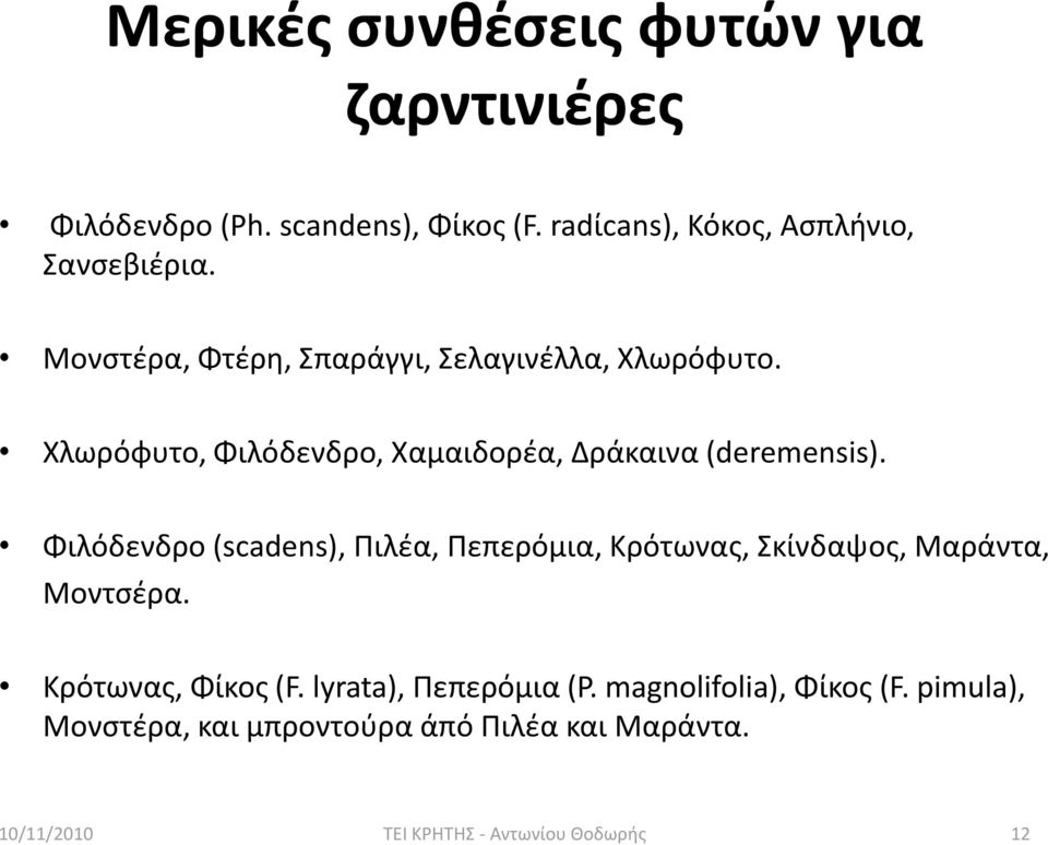 Χλωρόφυτο, Φιλόδενδρο, Χαμαιδορζα, Δράκαινα (deremensis).